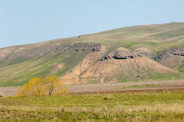 Весняні підніжки — стокове фото