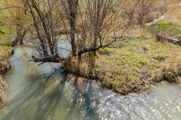 Spring creek — Stock Fotó