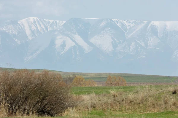 Spring Creek — Stok fotoğraf