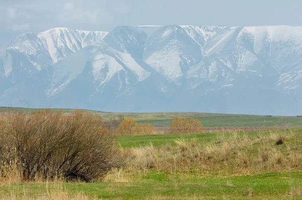 Spring Creek — Stok fotoğraf