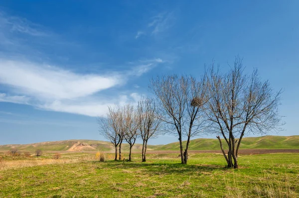 Arroyo de primavera — Foto de Stock