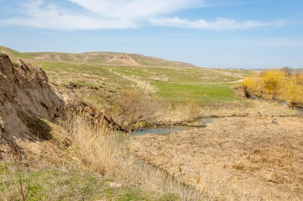 Arroyo de primavera — Foto de Stock