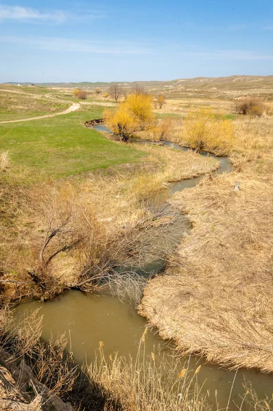 Spring creek — Stock Photo, Image