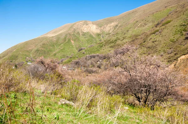 Mountain spring — Stock Photo, Image