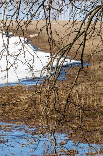 早春谷茬，老生常熟的积雪，溪流 — 图库照片