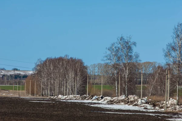 Campo arado a principios de primavera, colina cubierta de bosque, abedul — Foto de Stock