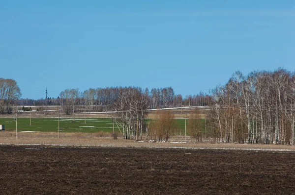 Arado campo no início da primavera, colina coberta com floresta, birc — Fotografia de Stock