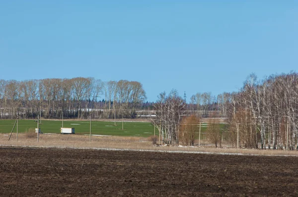 Plowed field in the early spring, hill covered with forest, birc — 스톡 사진