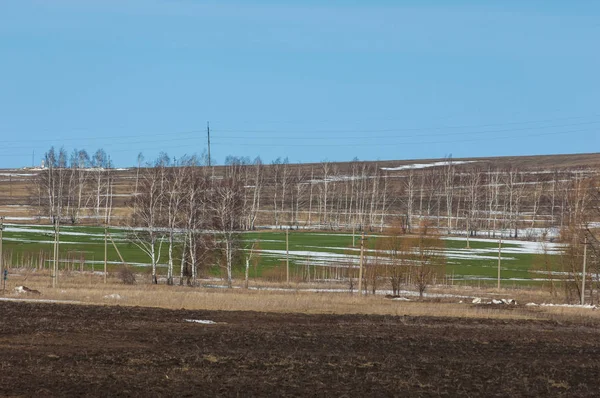 Plowed field in the early spring, hill covered with forest, birc — Stock Photo, Image