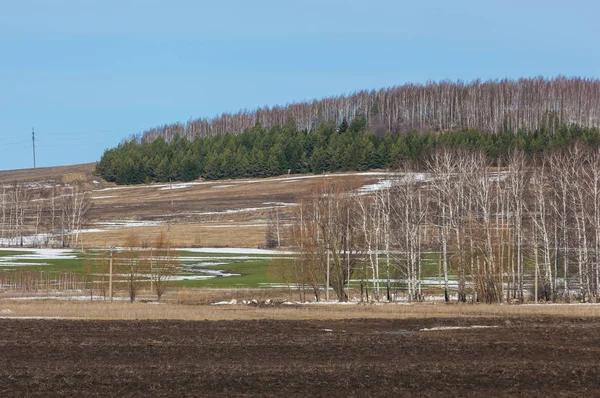 Gepflügtes Feld im zeitigen Frühling, Hügel mit Wald bedeckt, Birke — Stockfoto