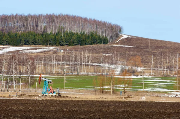 Spring plowed field, rocking oil (oil pump) Birch pine in spring — Stock Photo, Image