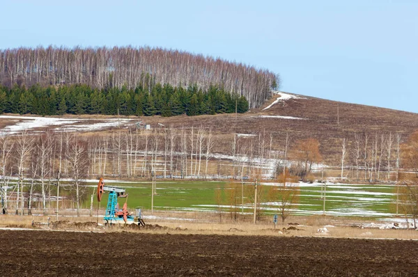 Campo arado de primavera, aceite oscilante (bomba de aceite) pino de abedul en primavera — Foto de Stock