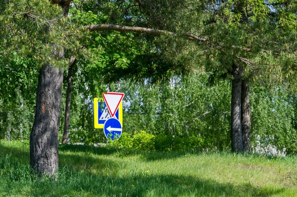 Весняний міський пейзаж. Міські парки. зелене трав'яне поле у великому місті — стокове фото