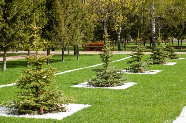 Textura de la imagen de fondo, paisaje urbano de primavera de — Foto de Stock