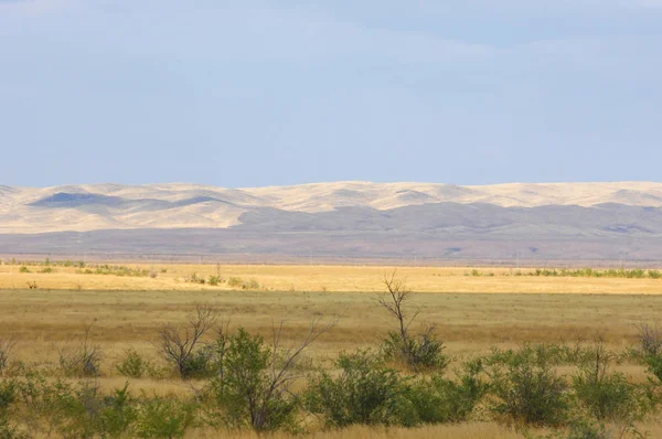 The steppe is woodless, poor in moisture and usually flat with g — Stock Photo, Image