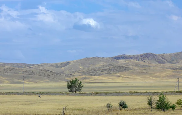 Steppe Été Sauver Turgai Lac Dans Désert — Photo