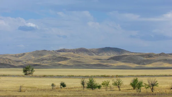 Verão Estepe Turgai Salva Lago Deserto — Fotografia de Stock