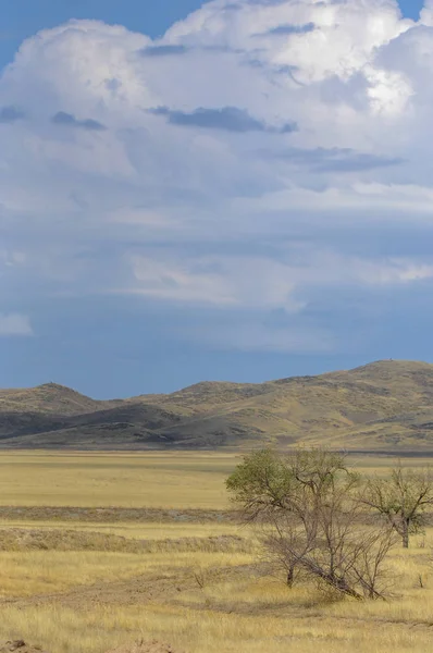 Paisagem de outono, estepe com montanhas. pradaria, veld, veldt. a) — Fotografia de Stock