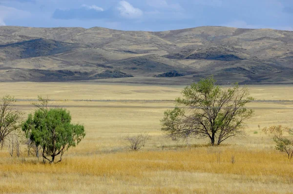 Paisagem de outono, estepe com montanhas. pradaria, veld, veldt. a) — Fotografia de Stock