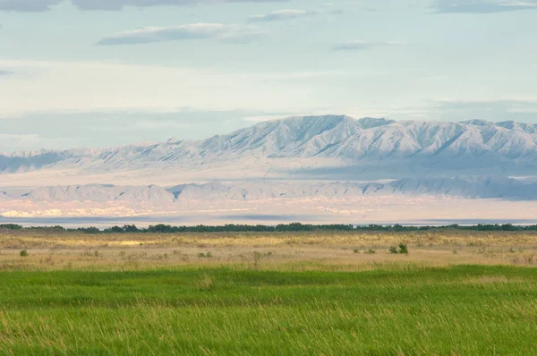Bozkır yaz. Turgai Kaydet. Çölde Gölü
