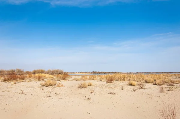 Steppe — Stock Image Steppe Stock Image