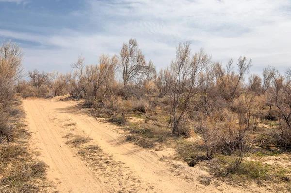 Steppe — Stock Image Steppe Royalty Free Stock Photos