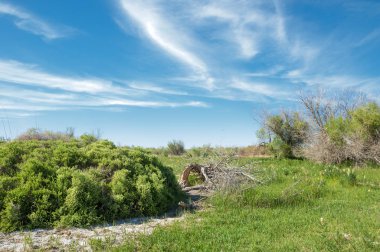 Bozkır, çayır, veldt, veld, taşkın