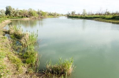 Bozkır nehir sazlık yaz