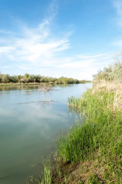 Bozkır nehir sazlık yaz