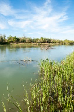 Bozkır nehir sazlık yaz
