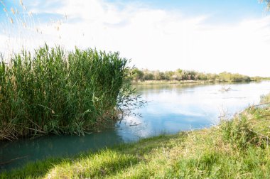 Bozkır nehir sazlık yaz