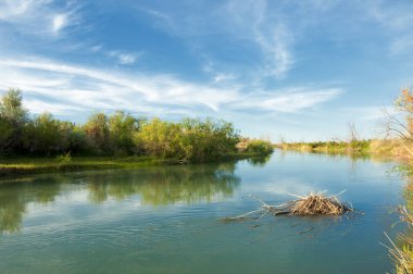 Bozkır nehir sazlık yaz