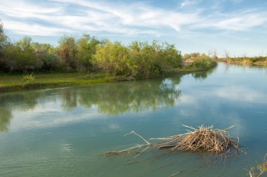Bozkır nehir sazlık yaz