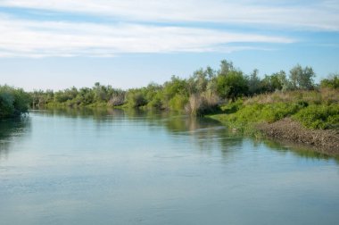 Bozkır nehir sazlık yaz