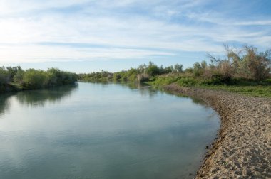 Bozkır nehir sazlık yaz