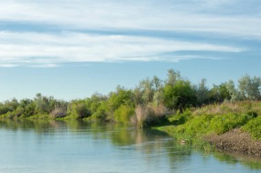 Bozkır nehir sazlık yaz