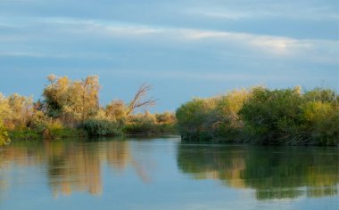 Bozkır nehir sazlık yaz