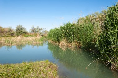 Bozkır nehir sazlık yaz