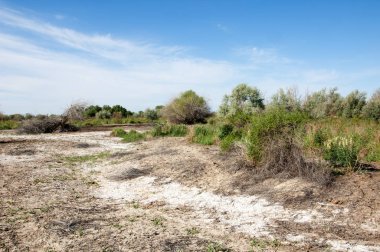 Bozkır tuzlu topraklar