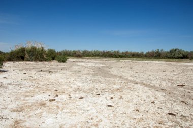 Bozkır tuzlu topraklar