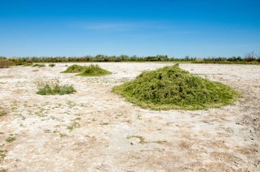 Bozkır tuzlu topraklar