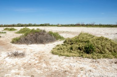 Bozkır tuzlu topraklar