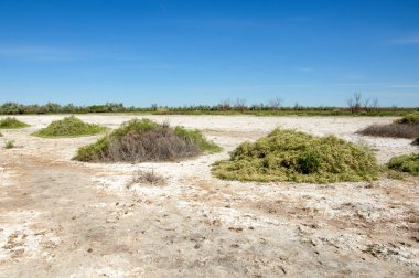 Bozkır tuzlu topraklar