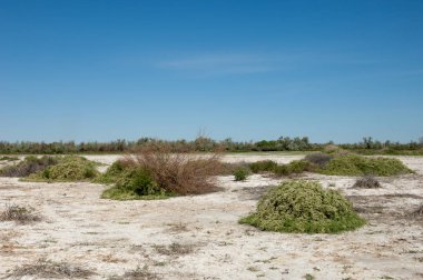 Bozkır tuzlu topraklar