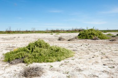 Bozkır tuzlu topraklar