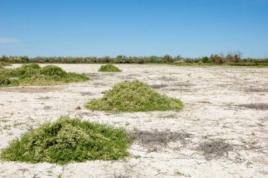 Bozkır tuzlu topraklar