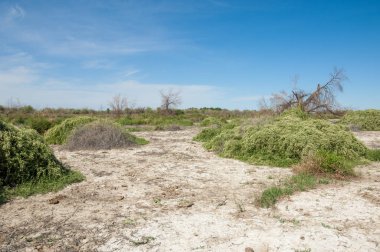 Bozkır tuzlu topraklar