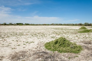 Bozkır tuzlu topraklar