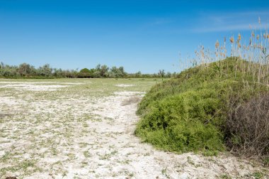 Bozkır tuzlu topraklar