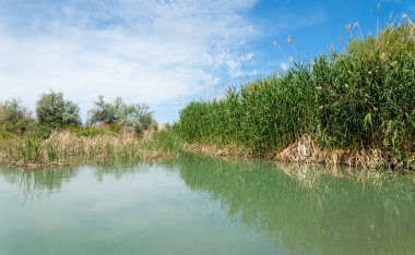 Bozkır nehir sazlık yaz